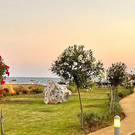 Lightness By The Sea *