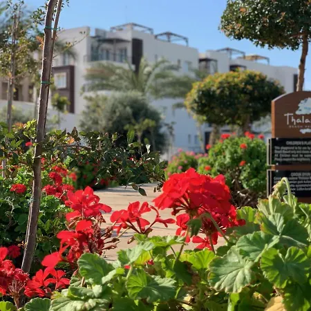 Lightness By The Sea * פמגוסטה