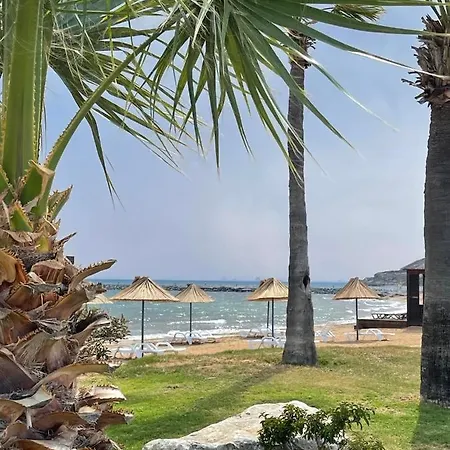 Lightness By The Sea * פמגוסטה