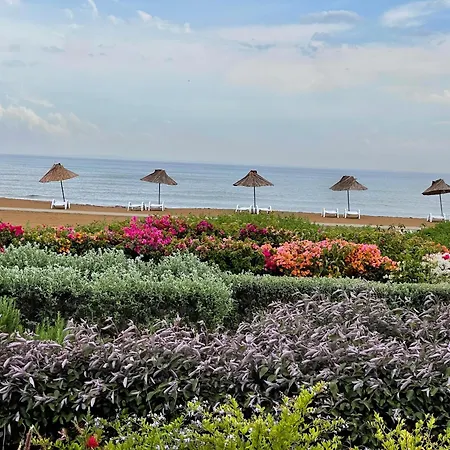 Lightness By The Sea