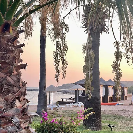 Lightness By The Sea דירה