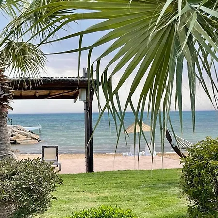 Lightness By The Sea פמגוסטה