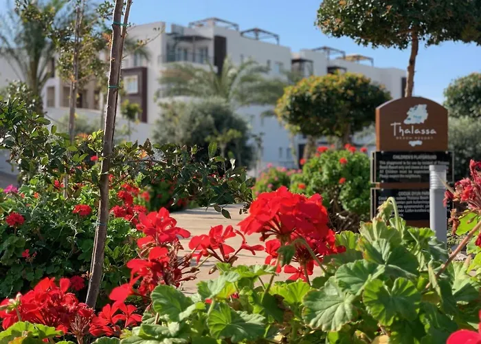 Suite * Αμμόχωστος